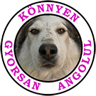 Könnyen Gyorsan Angolul
